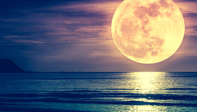 New Moon I October I 2019
